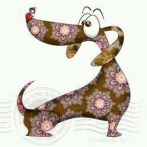 Meet your Posher, Lynn